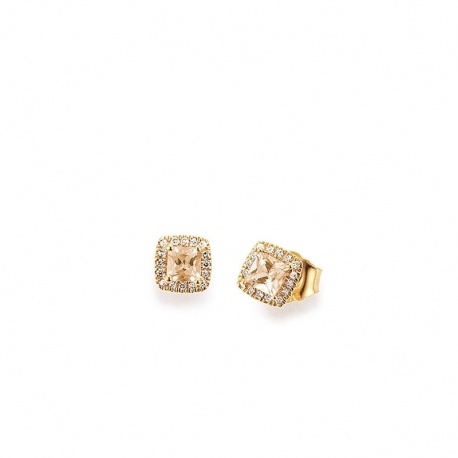 Diamantohrstecker mit Granat 585 Gold K11619G