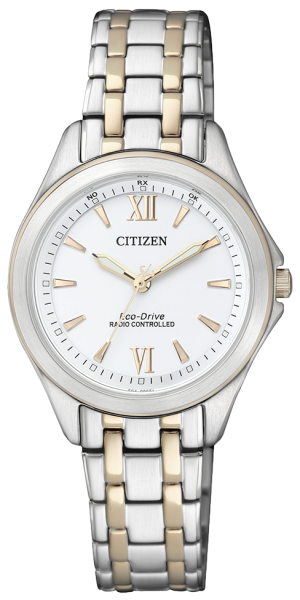 Citizen Eco-Drive Funkuhr ES4024-52A